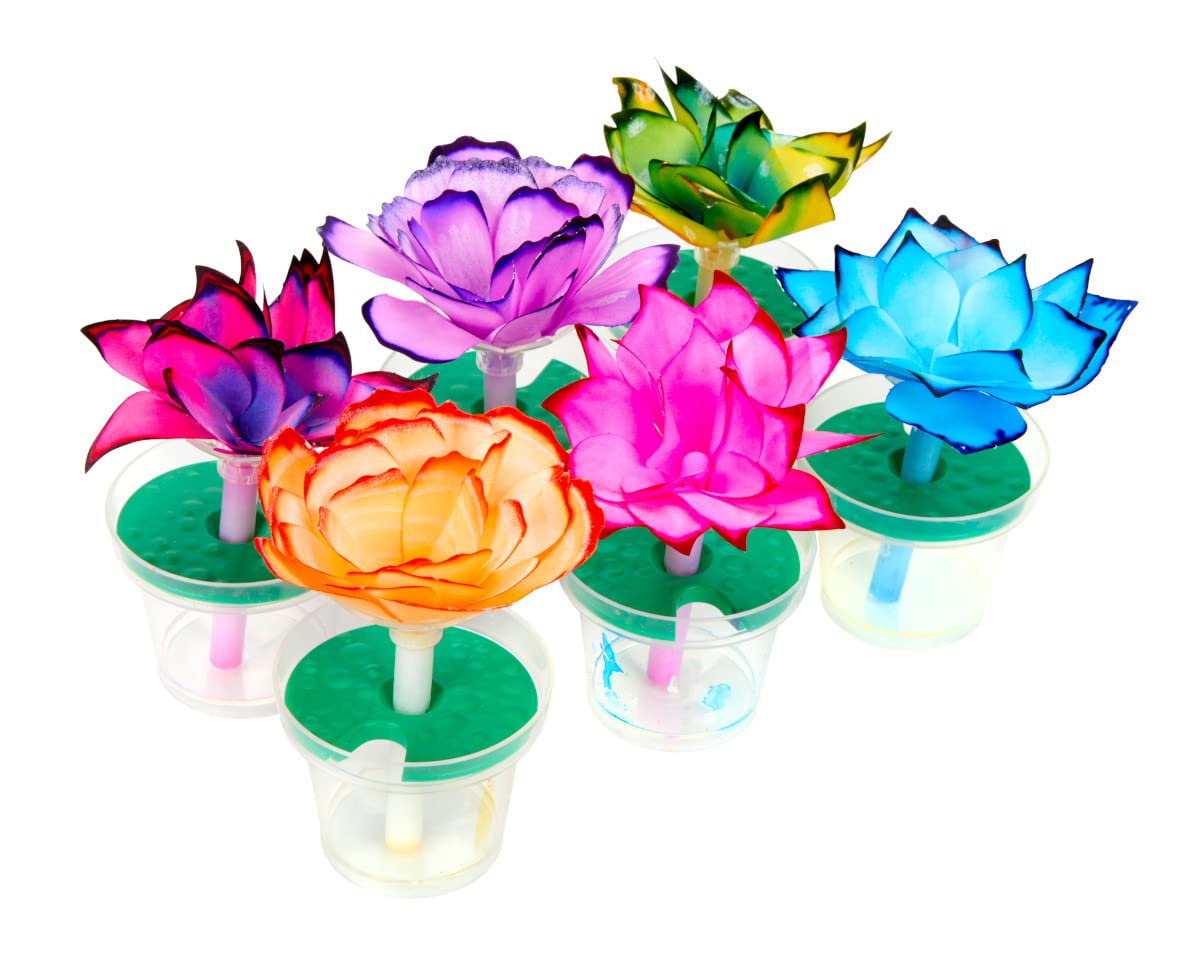 Crayola Paper Flower Science Kit: Color-Changing Flowers for Kids (Ages 7+)