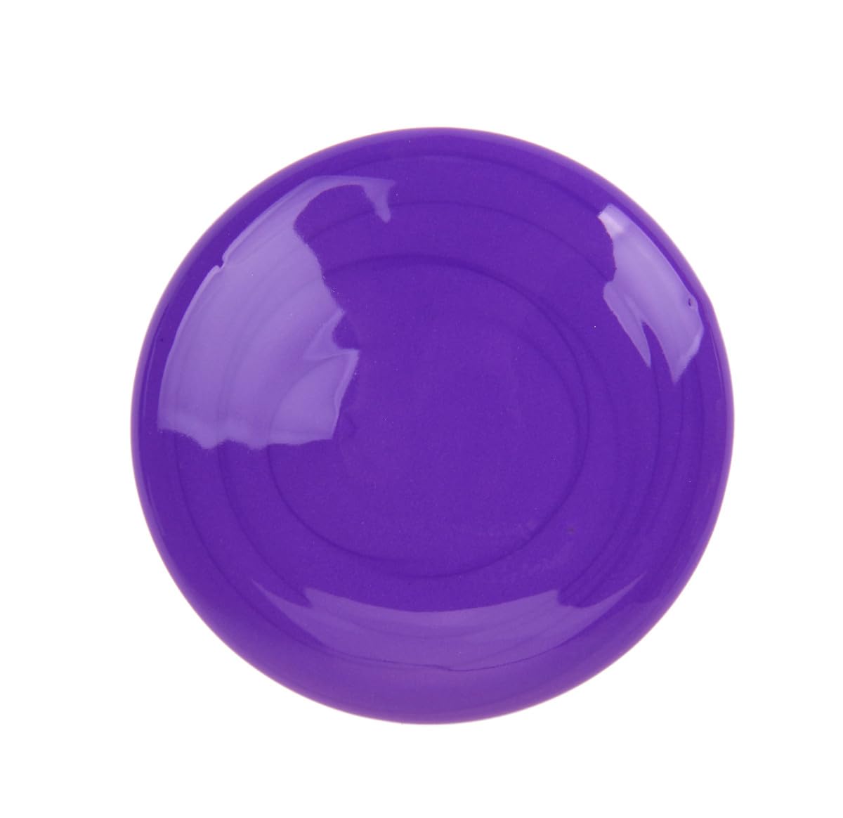 Crayola Washable Paint 16oz Violet/Purple – Easy Clean-Up & Vibrant Coverage