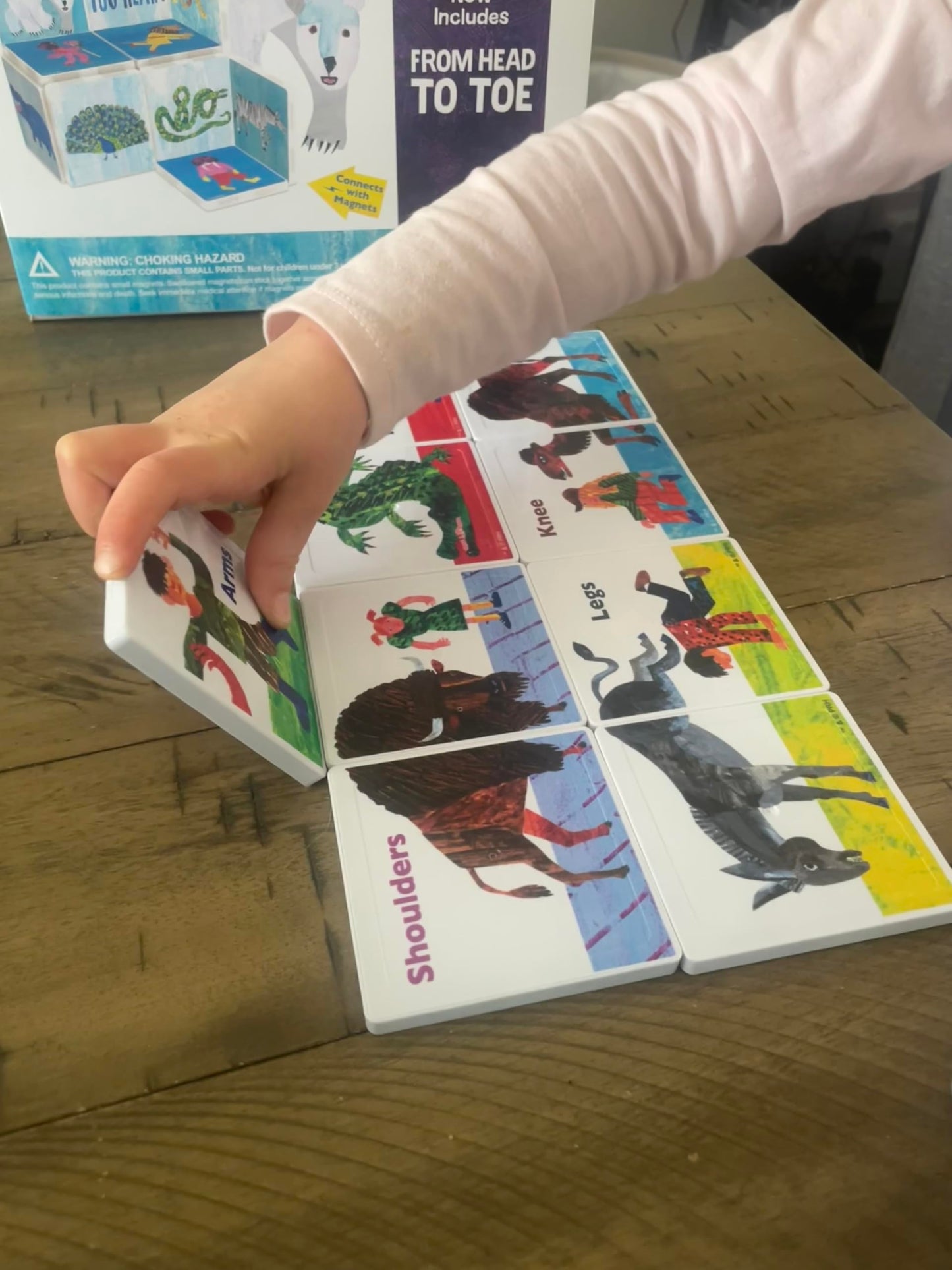 CreateOn Eric Carle Polar Bear Magnetic Tiles — 24-Piece STEM Building Set for Kids Ages 3+