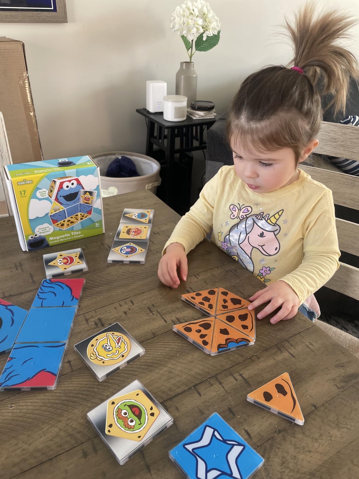 CreateOn Cookie Monster Shapes Magnetic Playset – 17-Piece STEM & Montessori Toys