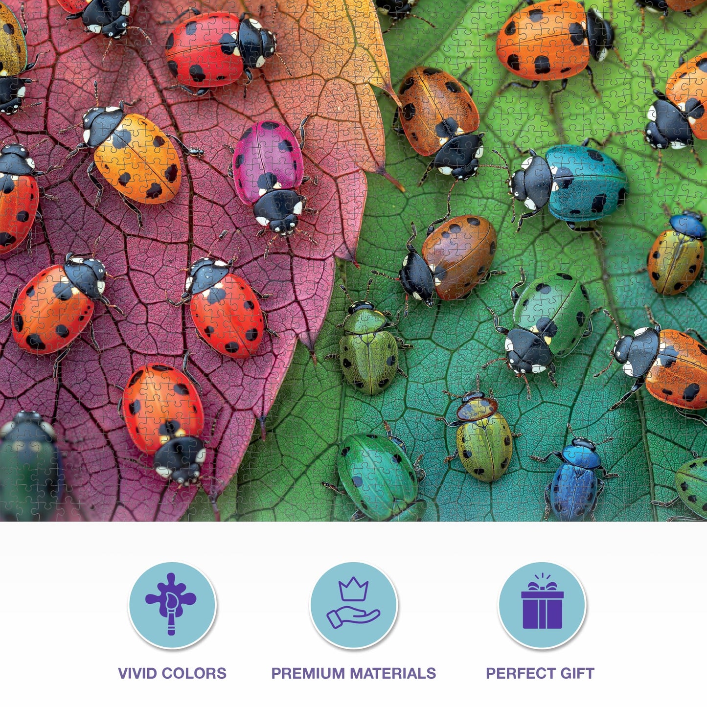 Cross & Glory The Ladybug Rainbow - 1000 Piece Jigsaw Puzzle for Adults | Vibrant Nature Puzzle