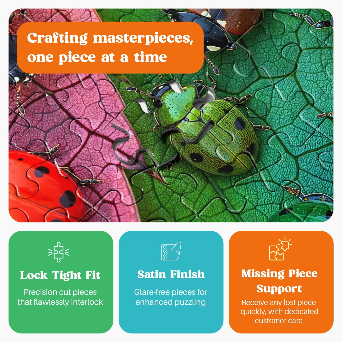 Cross & Glory The Ladybug Rainbow - 1000 Piece Jigsaw Puzzle for Adults | Vibrant Nature Puzzle
