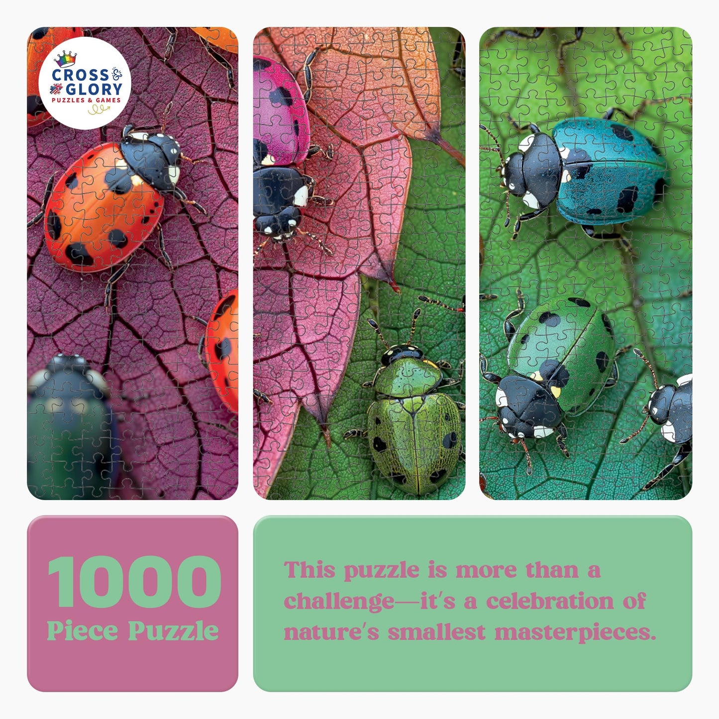 Cross & Glory The Ladybug Rainbow - 1000 Piece Jigsaw Puzzle for Adults | Vibrant Nature Puzzle