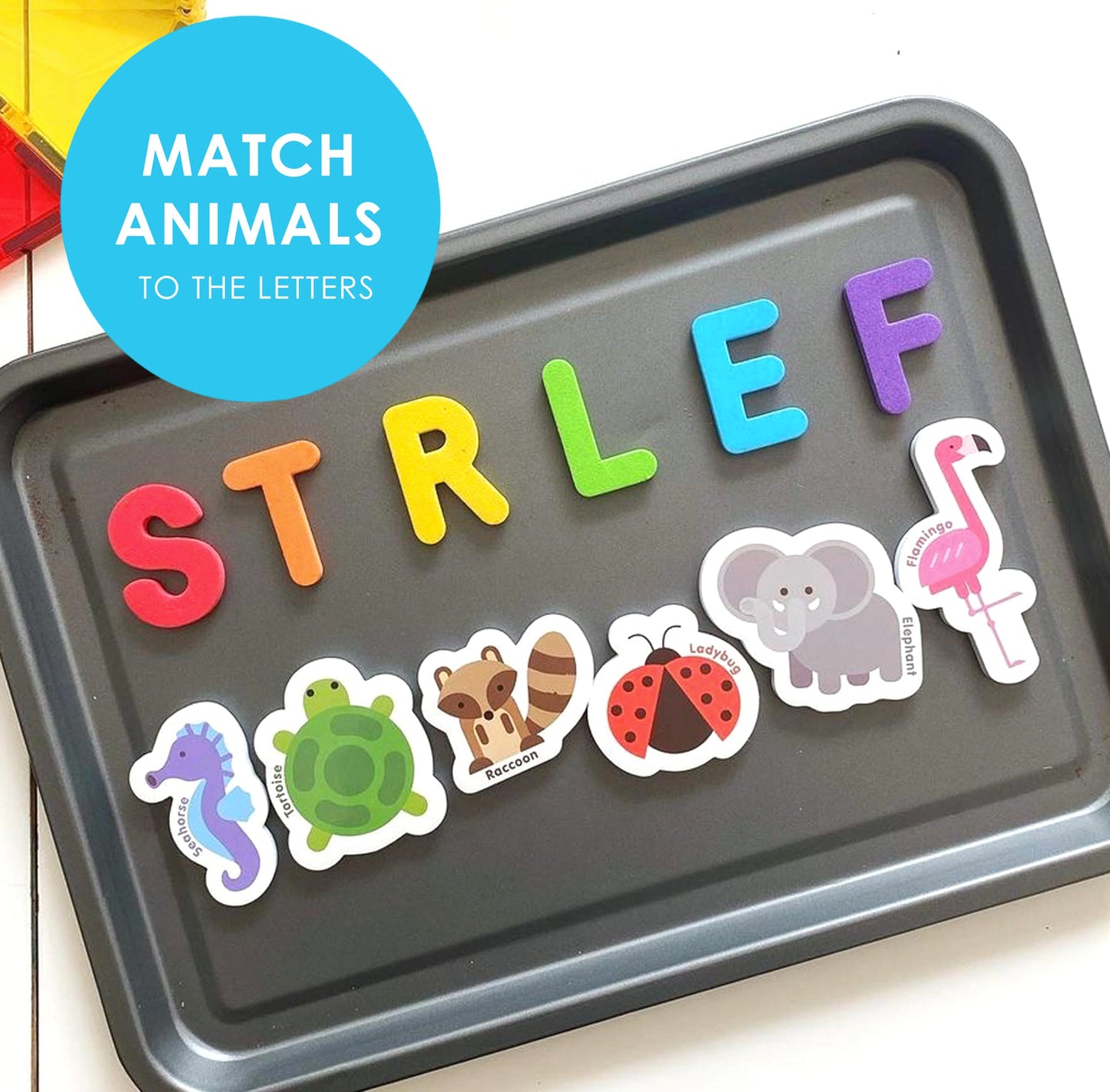Curious Columbus Toddler Magnets – 52 Animal & Alphabet Fridge Magnets