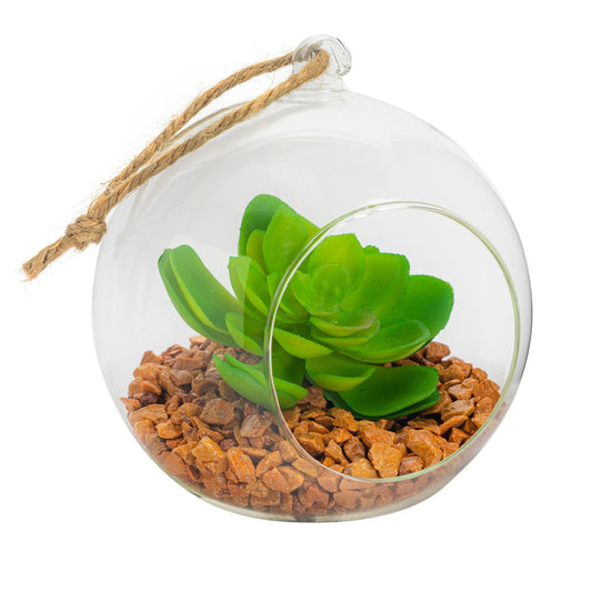 12cm Hanging Glass Succulent Terrarium
