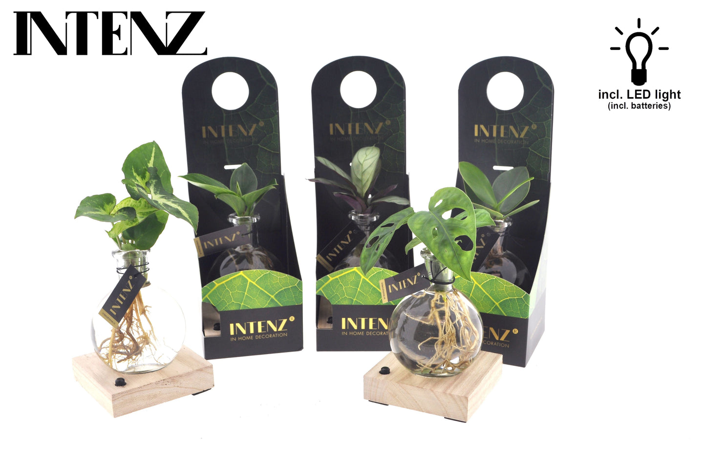 Opm Intenz Gemengd Glas Samoa + Led & Giftpack