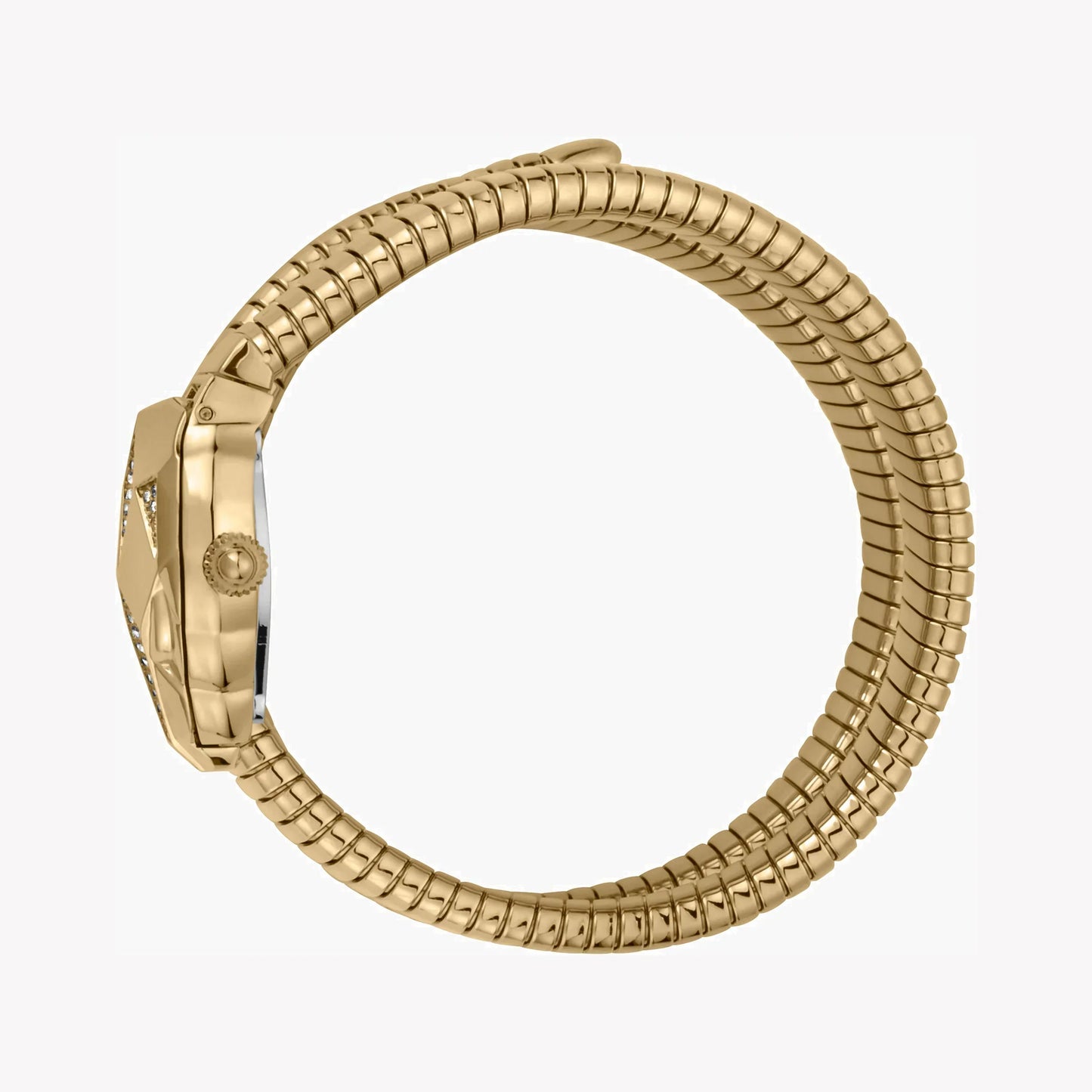 Just Cavalli Women's Gold Stainless Steel Watch, Champagne Dial | Jc1l073m0025