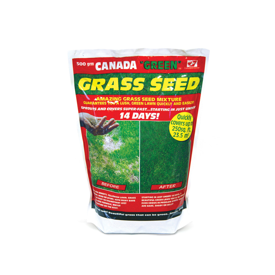Canada Green Grass Seed 500g