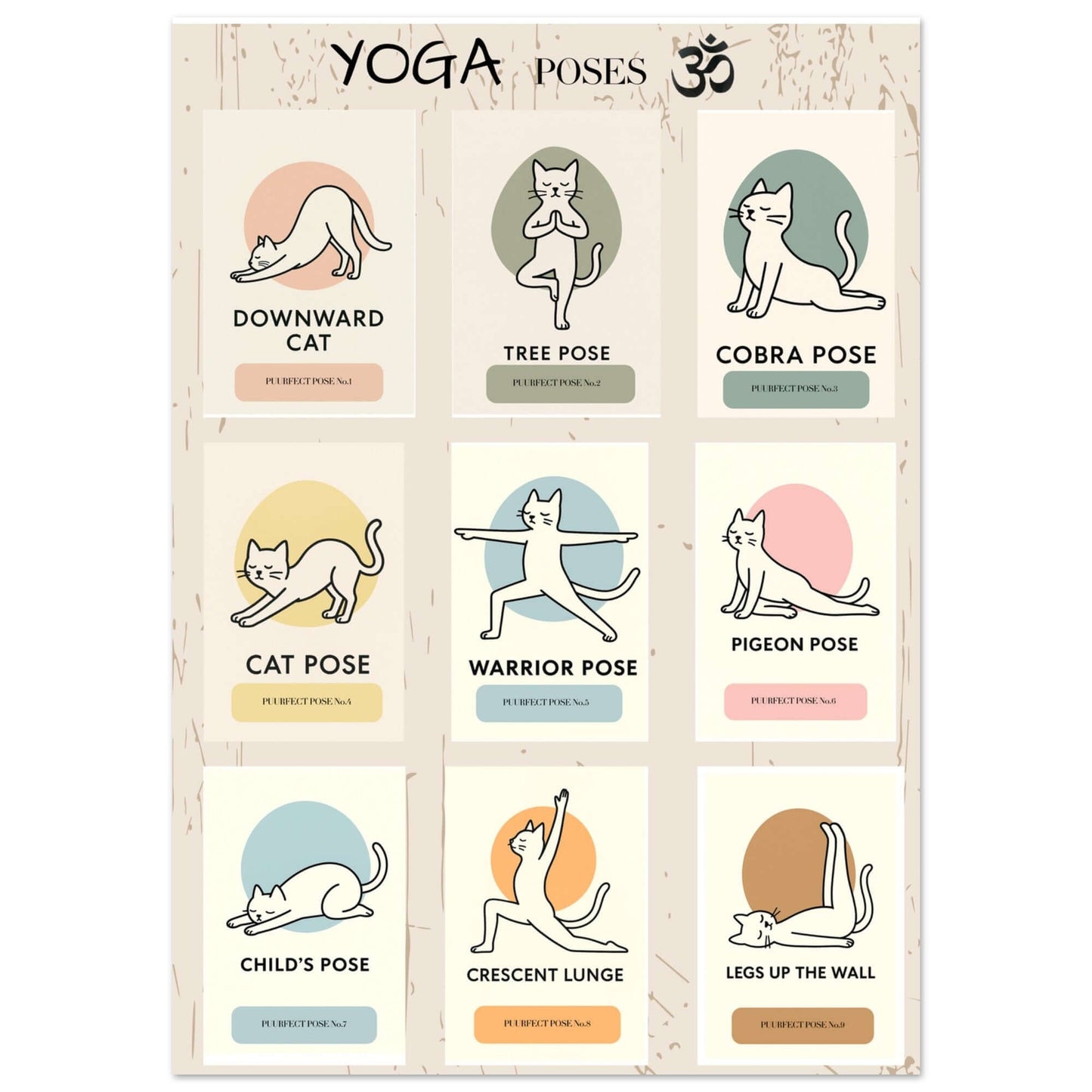 Funny Cat Yoga Wall Art