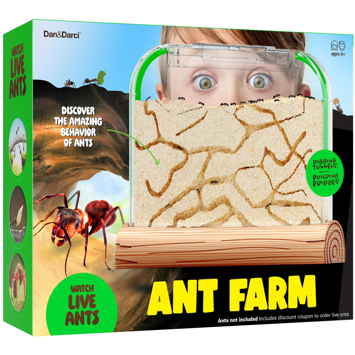 Dan&Darci Ant Farm Kit for Kids – Voucher Included, Sand Habitat & Terrarium