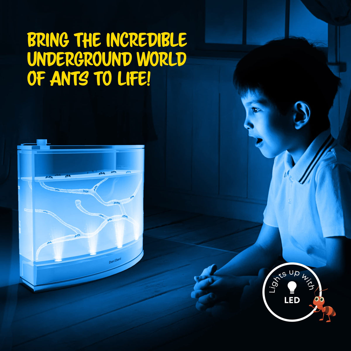 Dan&Darci Light-Up Ant Farm Terrarium Kit – LED Habitat for Live Ants with Gel
