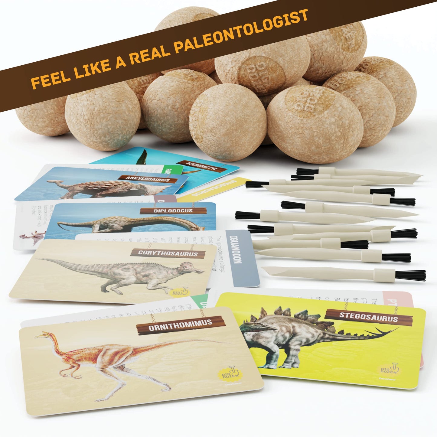 Dan&Darci Dig a Dozen Dino Egg Kit for Kids – 12 Eggs & Surprise Dinosaurs – STEM Dino Dig Activity