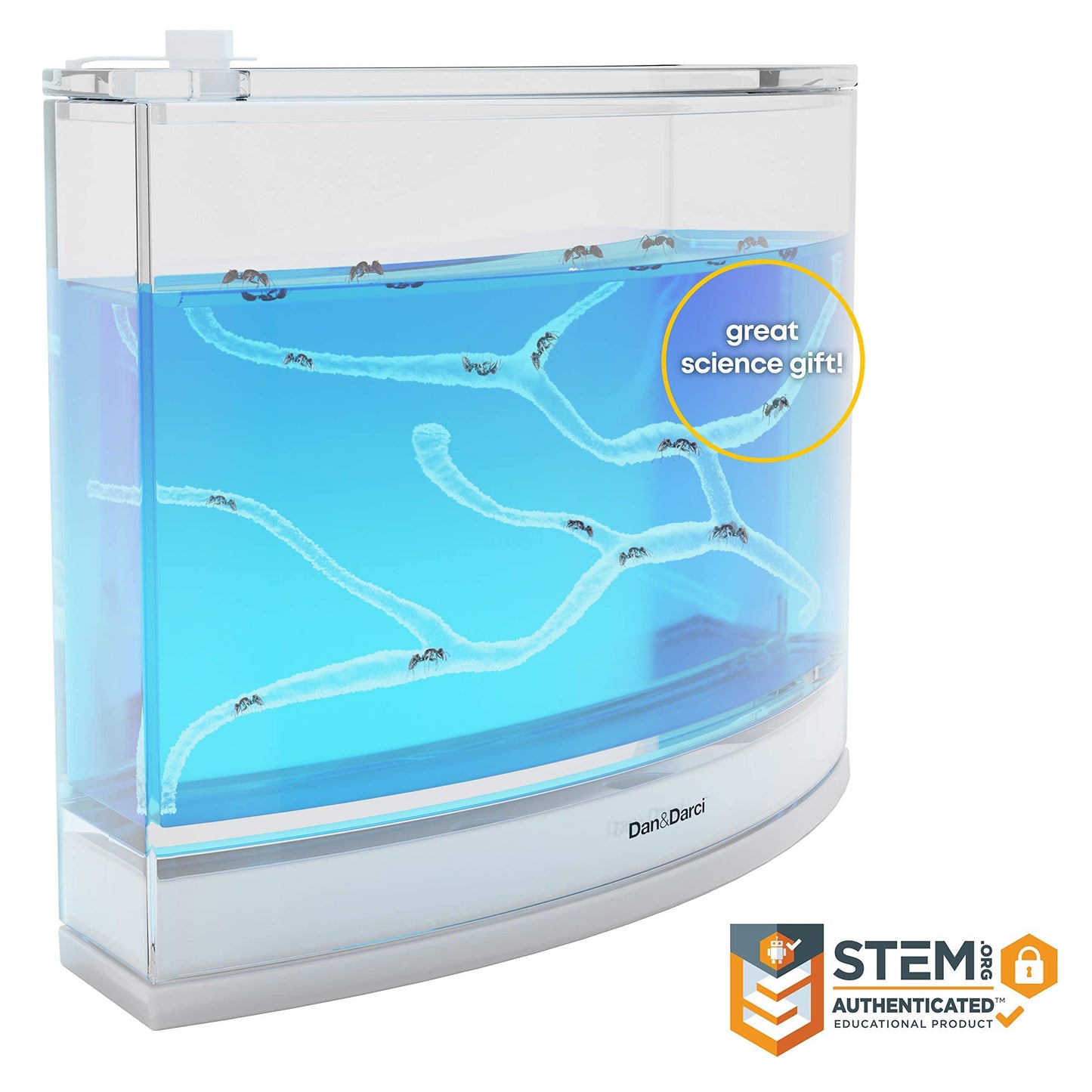 Dan&Darci Light-Up Ant Farm Terrarium Kit – LED Habitat for Live Ants with Gel