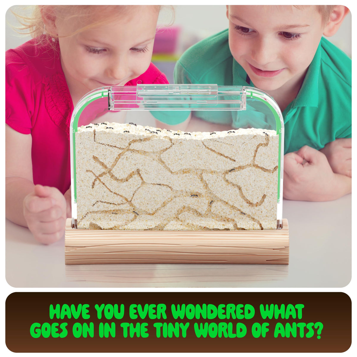 Dan&Darci Ant Farm Kit for Kids – Voucher Included, Sand Habitat & Terrarium
