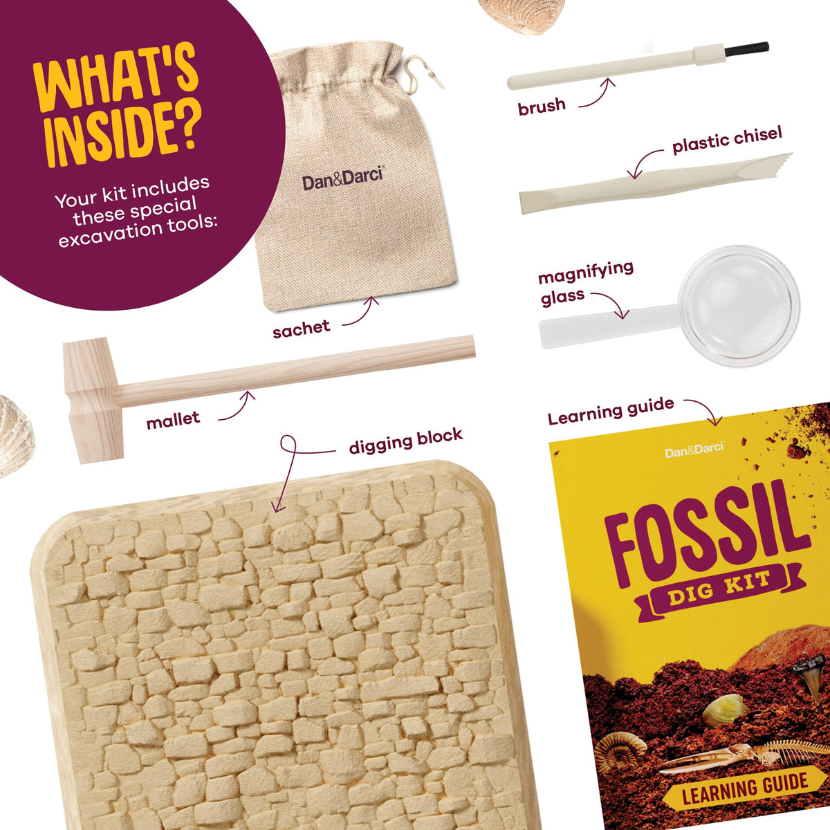 Dan&Darci Real Fossil Dig Kit for Kids - 12 Genuine Fossils, STEM Gift for Ages 8-13