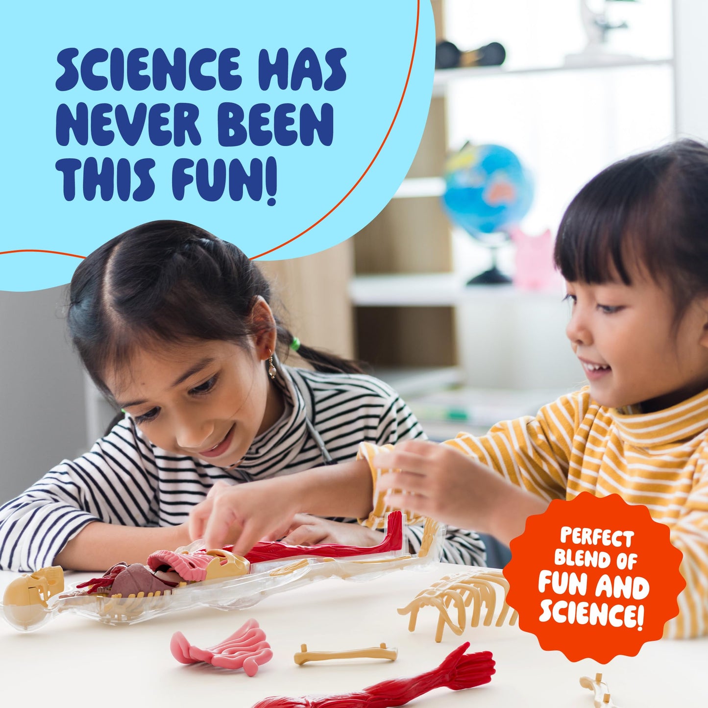 Dan&Darci Human Anatomy Squishy Body Model – STEM Toy for Kids 4-8