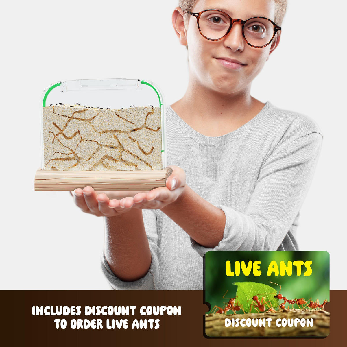 Dan&Darci Ant Farm Kit for Kids – Voucher Included, Sand Habitat & Terrarium
