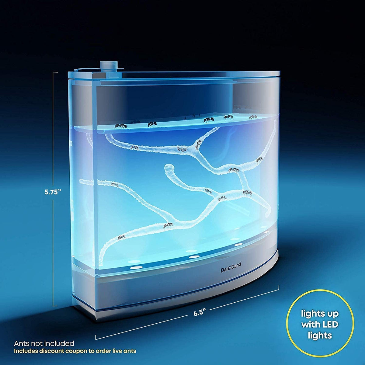 Dan&Darci Light-Up Ant Farm Terrarium Kit – LED Habitat for Live Ants with Gel