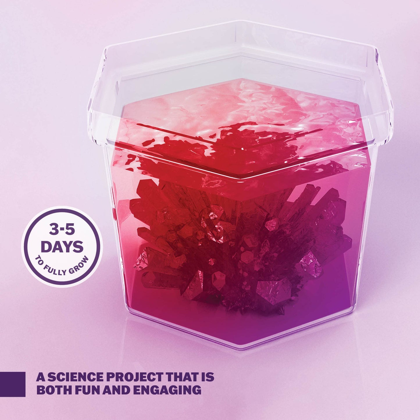 Dan&Darci Crystal Growing Kit for Kids | STEM Science Experiments for Ages 8-14