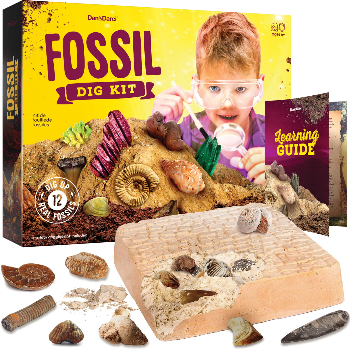 Dan&Darci Real Fossil Dig Kit for Kids - 12 Genuine Fossils, STEM Gift for Ages 8-13