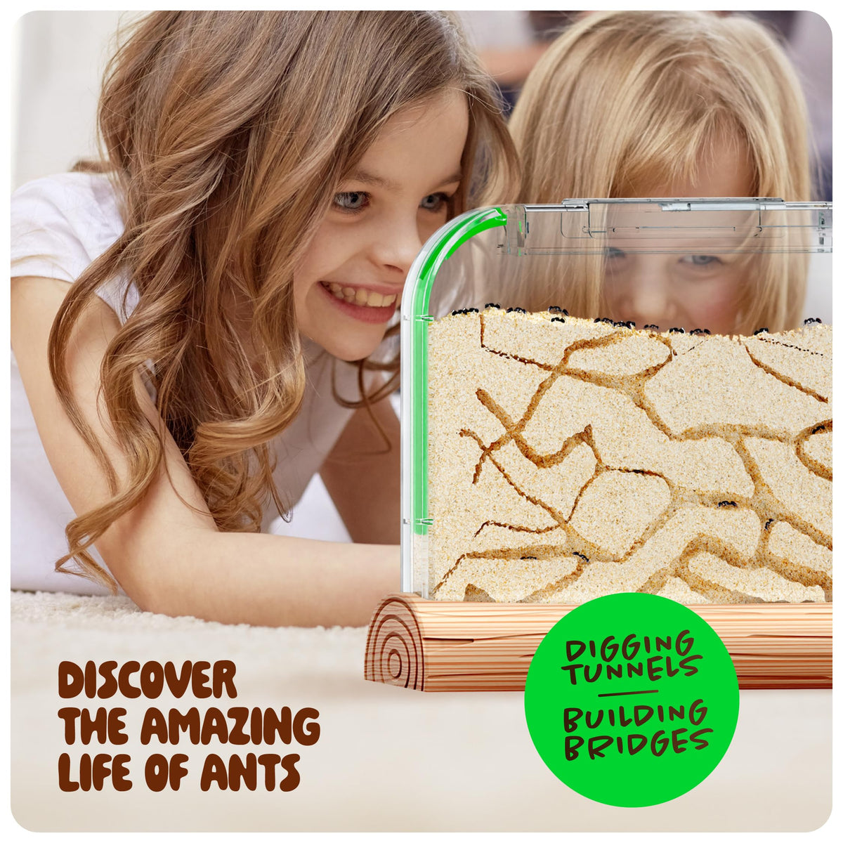 Dan&Darci Ant Farm Kit for Kids – Voucher Included, Sand Habitat & Terrarium