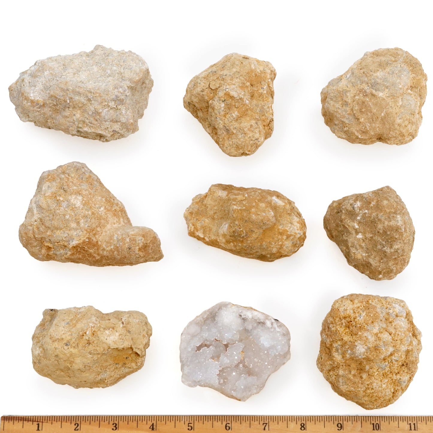DANCING BEAR 8 XL Break-Your-Own Moroccan Geodes – Crystals Inside, Educational Kit