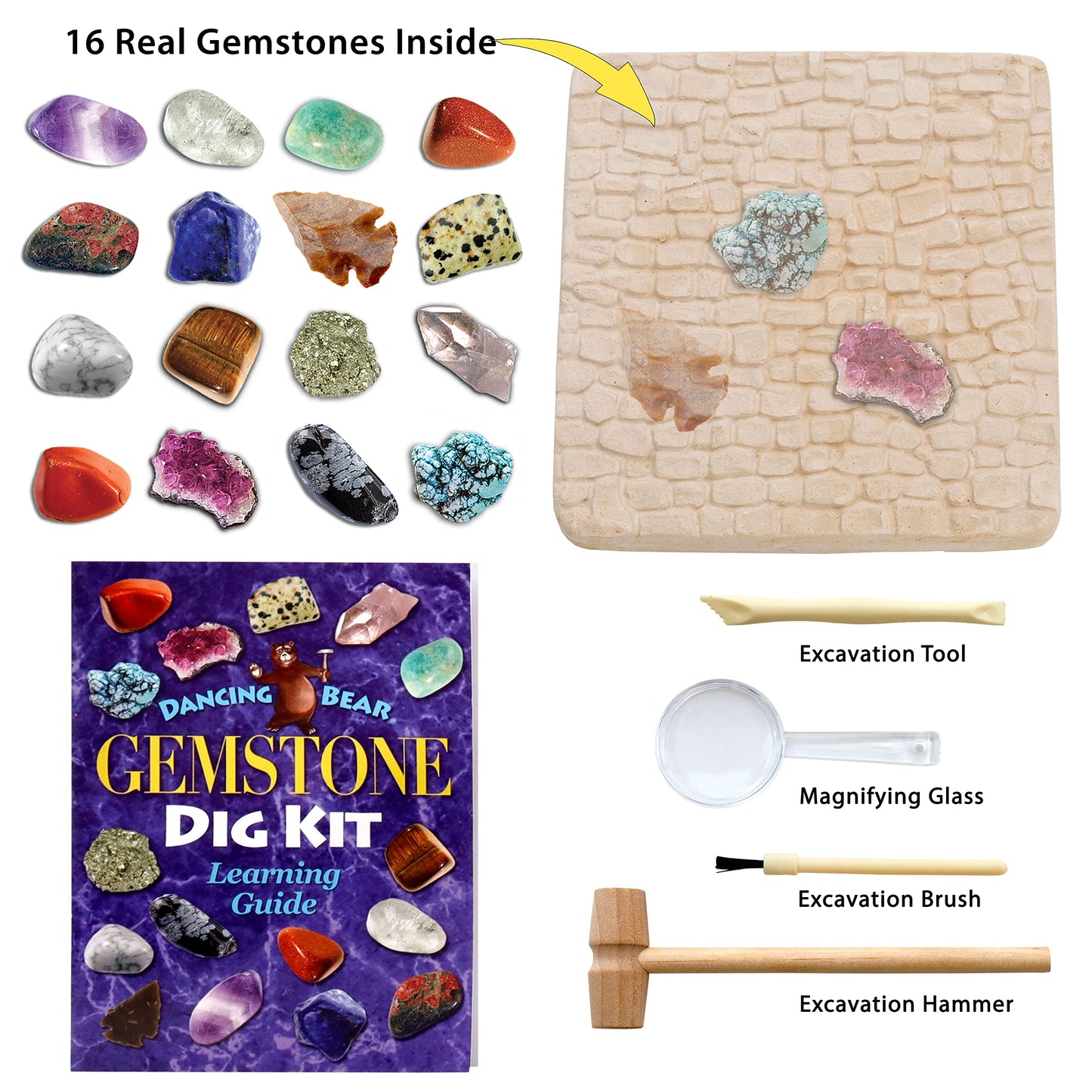 DANCING BEAR Gem Stone Dig Kit | 16 Real Gems & Crystals STEM Activity for Kids