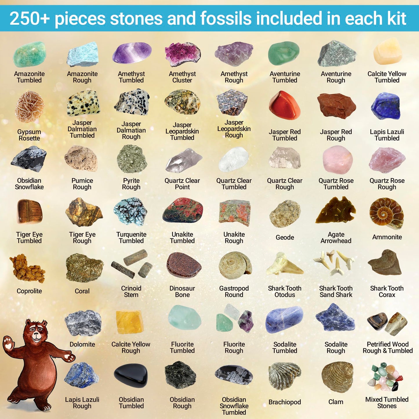 DANCING BEAR Rock, Mineral & Geodes Treasure Hunt Kit — 250 Piece STEM Activity