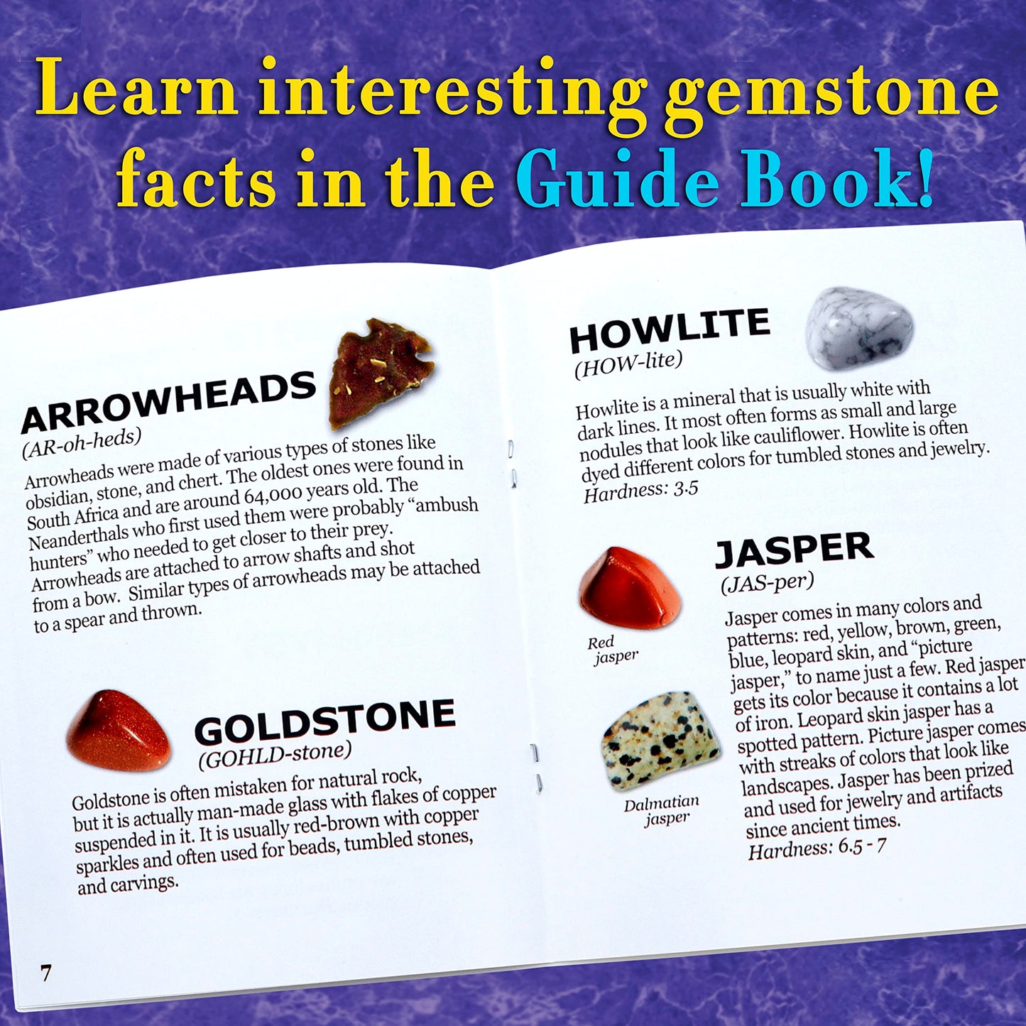 DANCING BEAR Gem Stone Dig Kit | 16 Real Gems & Crystals STEM Activity for Kids