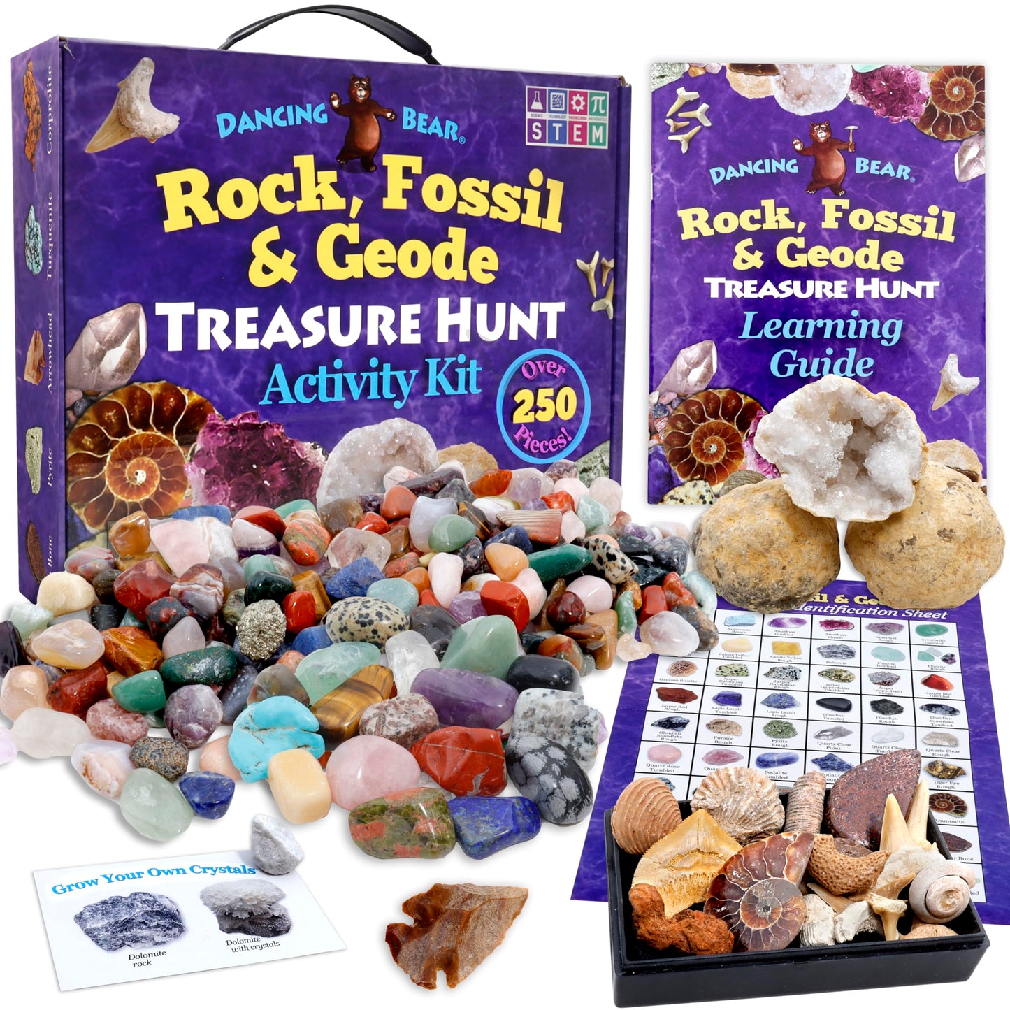 DANCING BEAR Rock, Mineral & Geodes Treasure Hunt Kit — 250 Piece STEM Activity