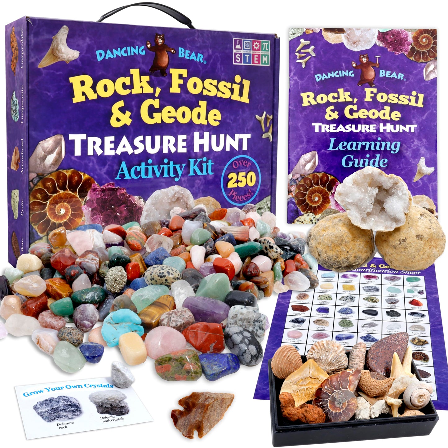 DANCING BEAR Rock, Mineral & Geodes Treasure Hunt Kit — 250 Piece STEM Activity