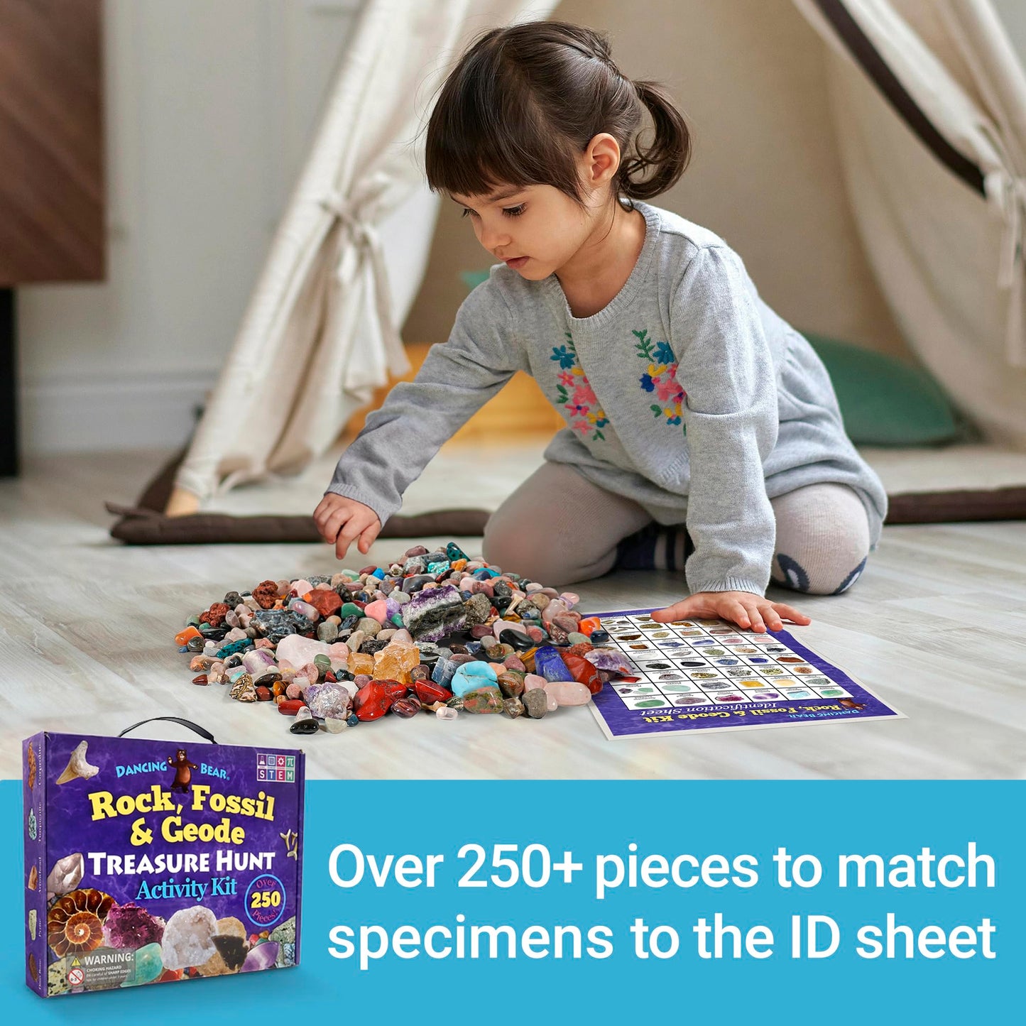 DANCING BEAR Rock, Mineral & Geodes Treasure Hunt Kit — 250 Piece STEM Activity