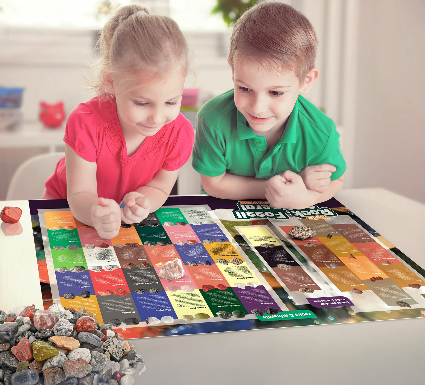 Dan&Darci Rock Collection for Kids – 250+ Rocks, Gemstones & Fossils (2 Lbs) | Geology STEM Toys for Ages 6+