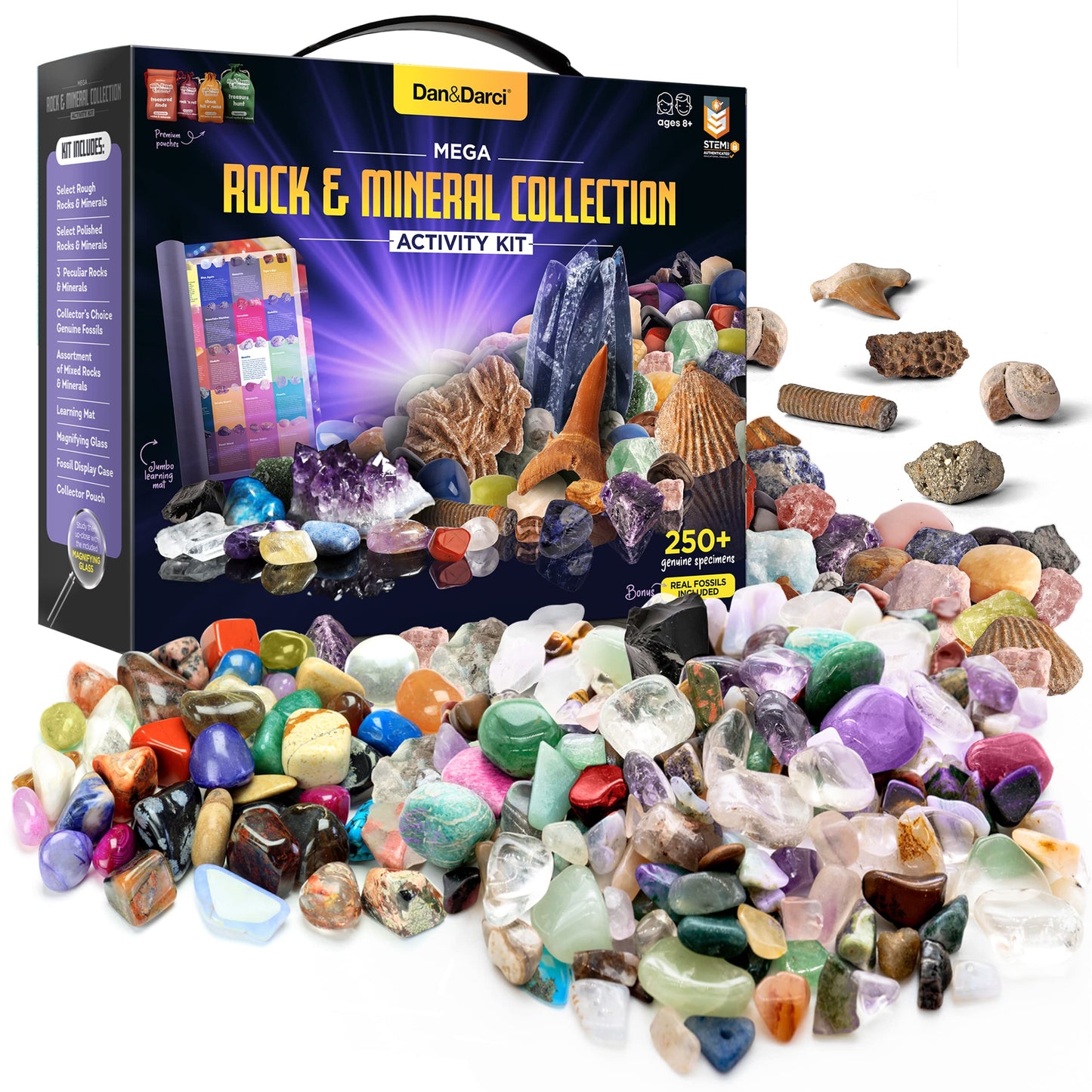 Dan&Darci Rock Collection for Kids – 250+ Rocks, Gemstones & Fossils (2 Lbs) | Geology STEM Toys for Ages 6+