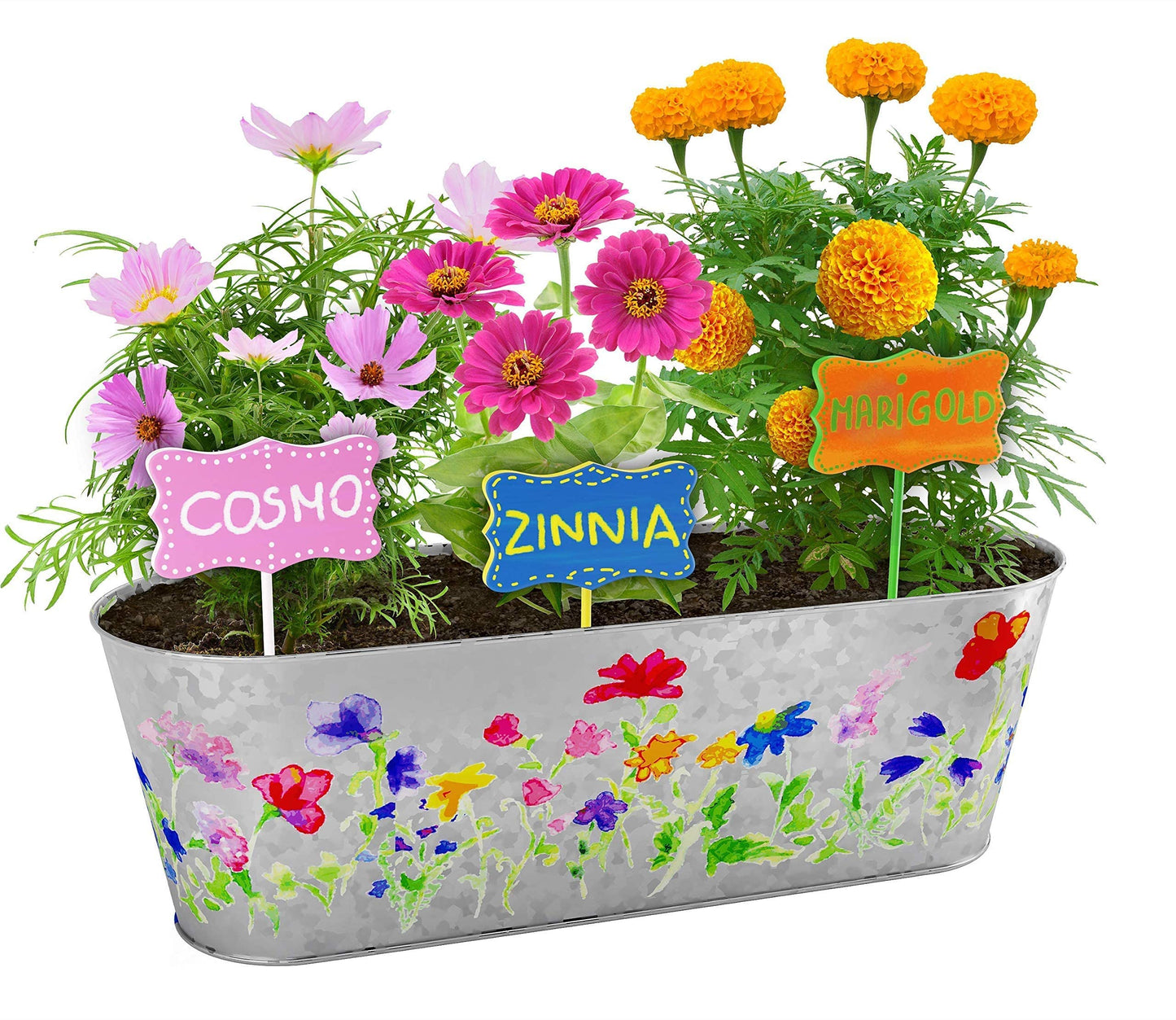 Dan&Darci Paint & Plant Flower Growing Kit for Kids – Easter Gift Idea (Ages 5–12)