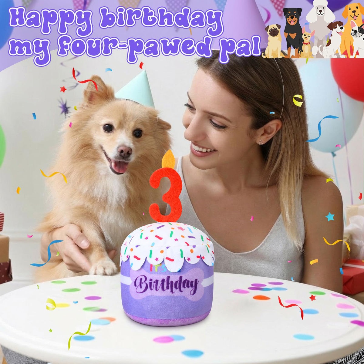 Dansydaisy Dog 3rd Birthday Cake Toy – Purple Squeaky Plush for All Dogs