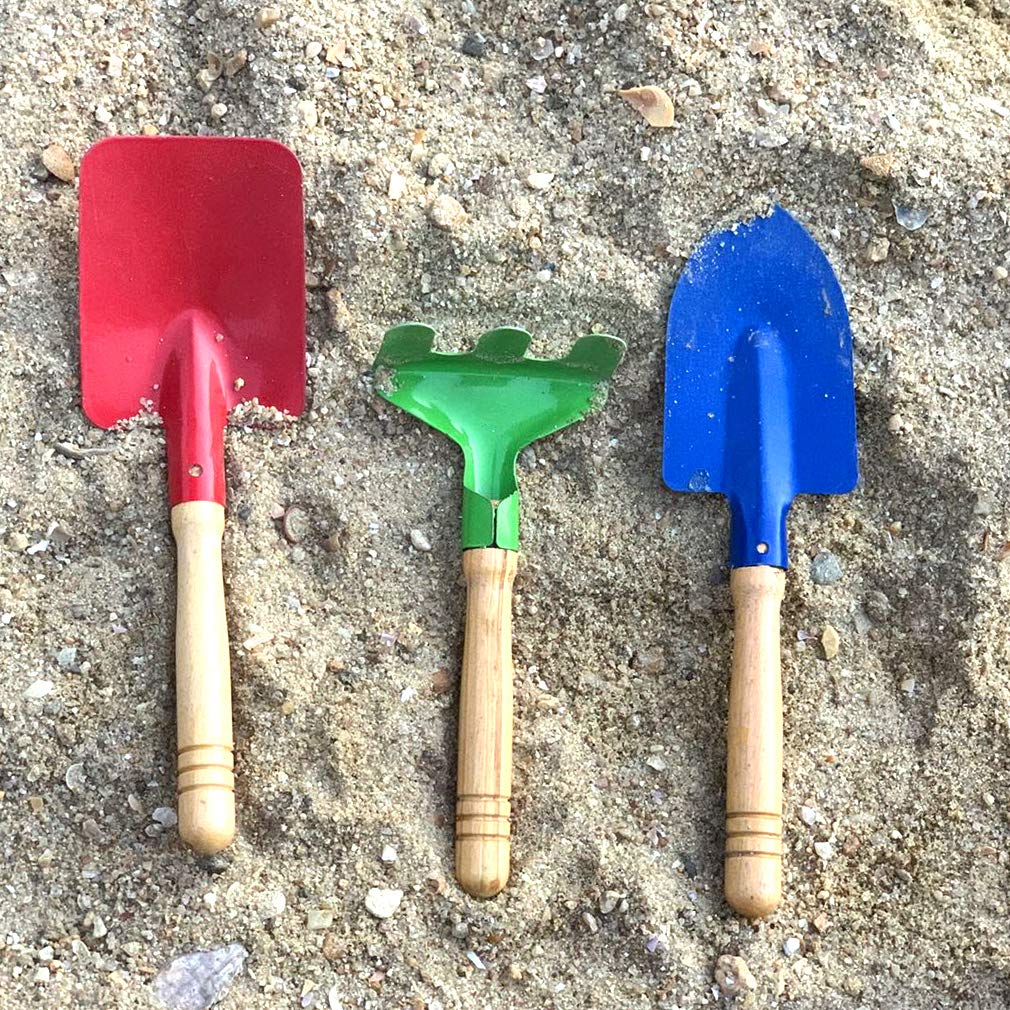 Delphinus Kids 6-Piece Gardening Tool Set — Metal Tools with Wooden Handles, 8-Inch