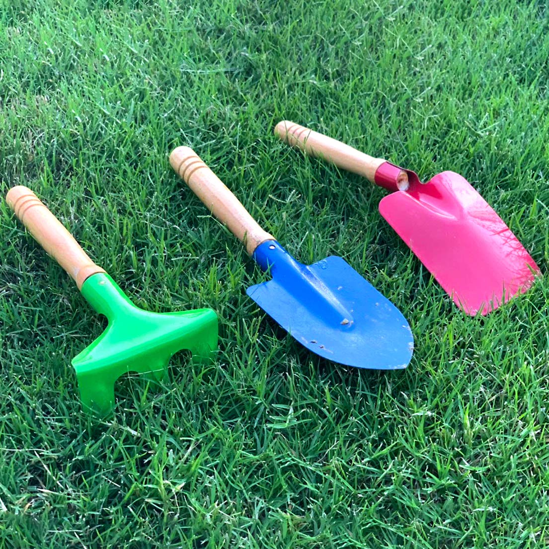 Delphinus Kids 6-Piece Gardening Tool Set — Metal Tools with Wooden Handles, 8-Inch