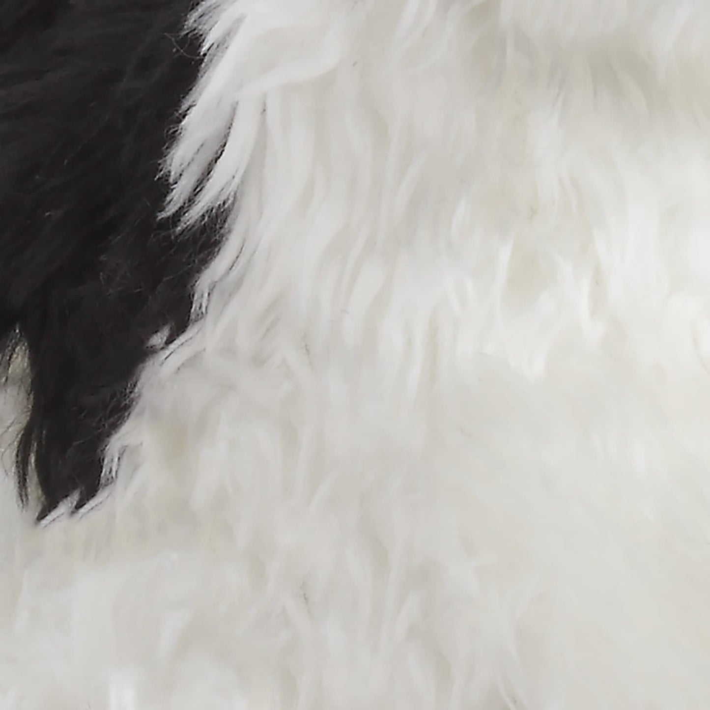 DEMDACO Sitting Small Havanese Dog Plush – Realistic AnimalCraft Collection