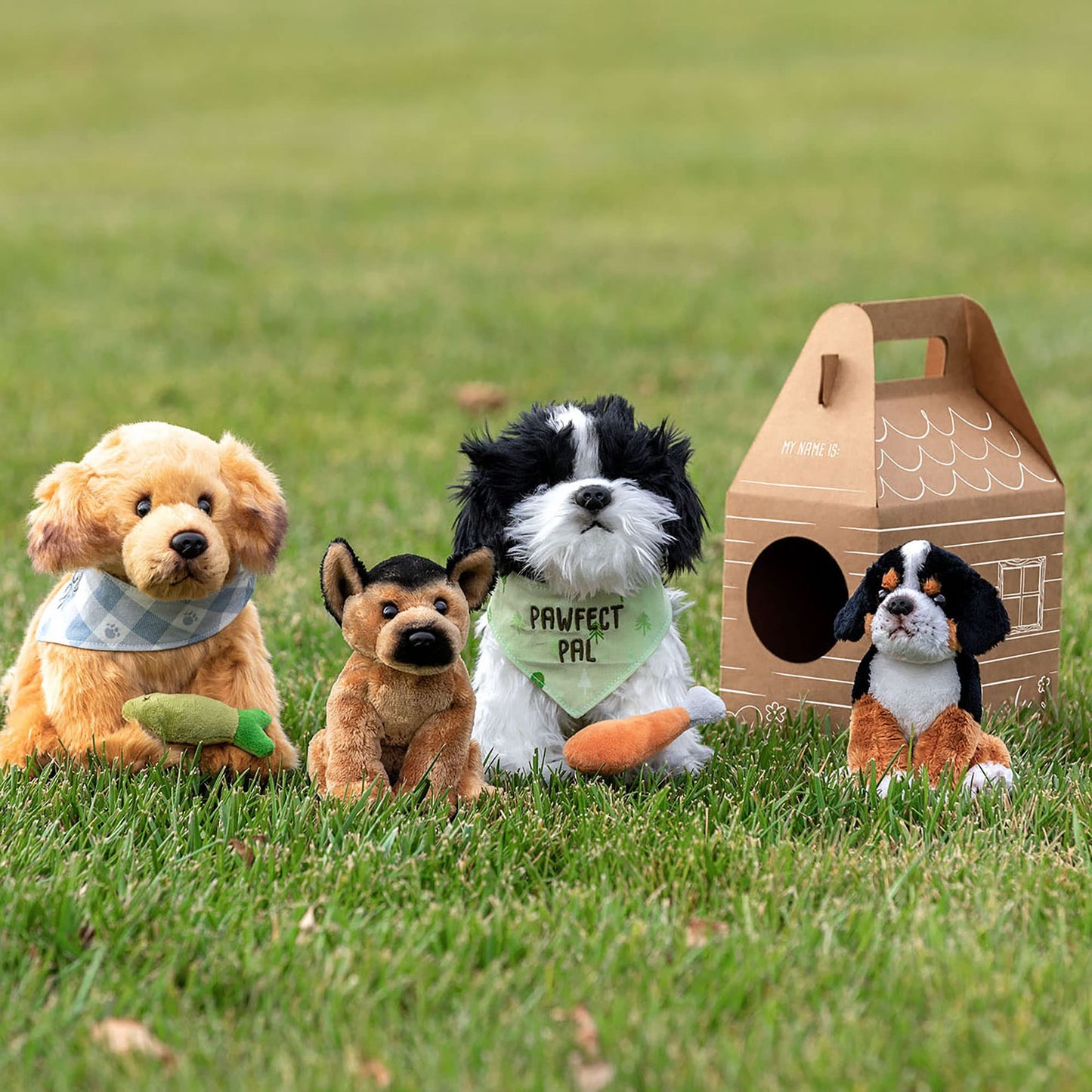 DEMDACO Sitting Small Havanese Dog Plush – Realistic AnimalCraft Collection
