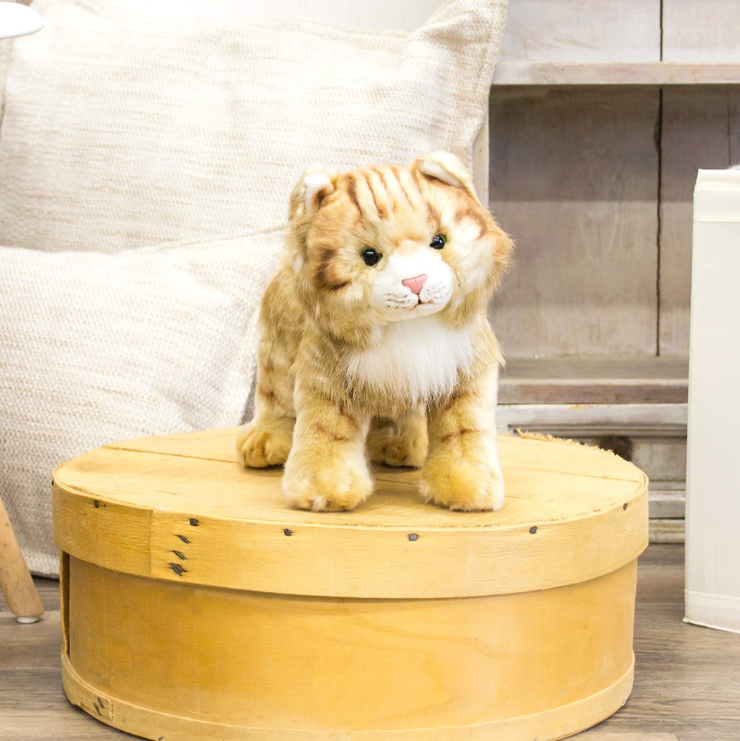 DEMDACO Large Maine Coon Cat Striped Ginger Plush Toy | Animalcraft Collection