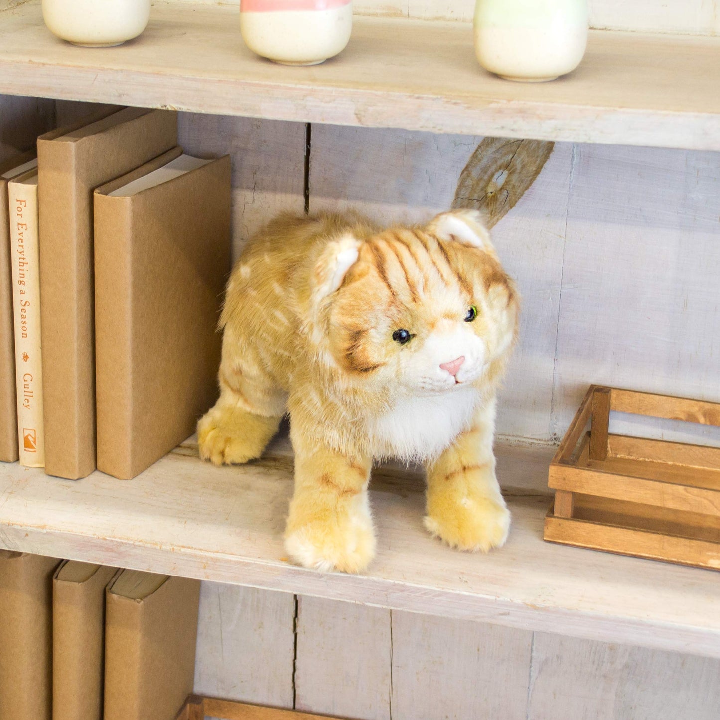 DEMDACO Large Maine Coon Cat Striped Ginger Plush Toy | Animalcraft Collection