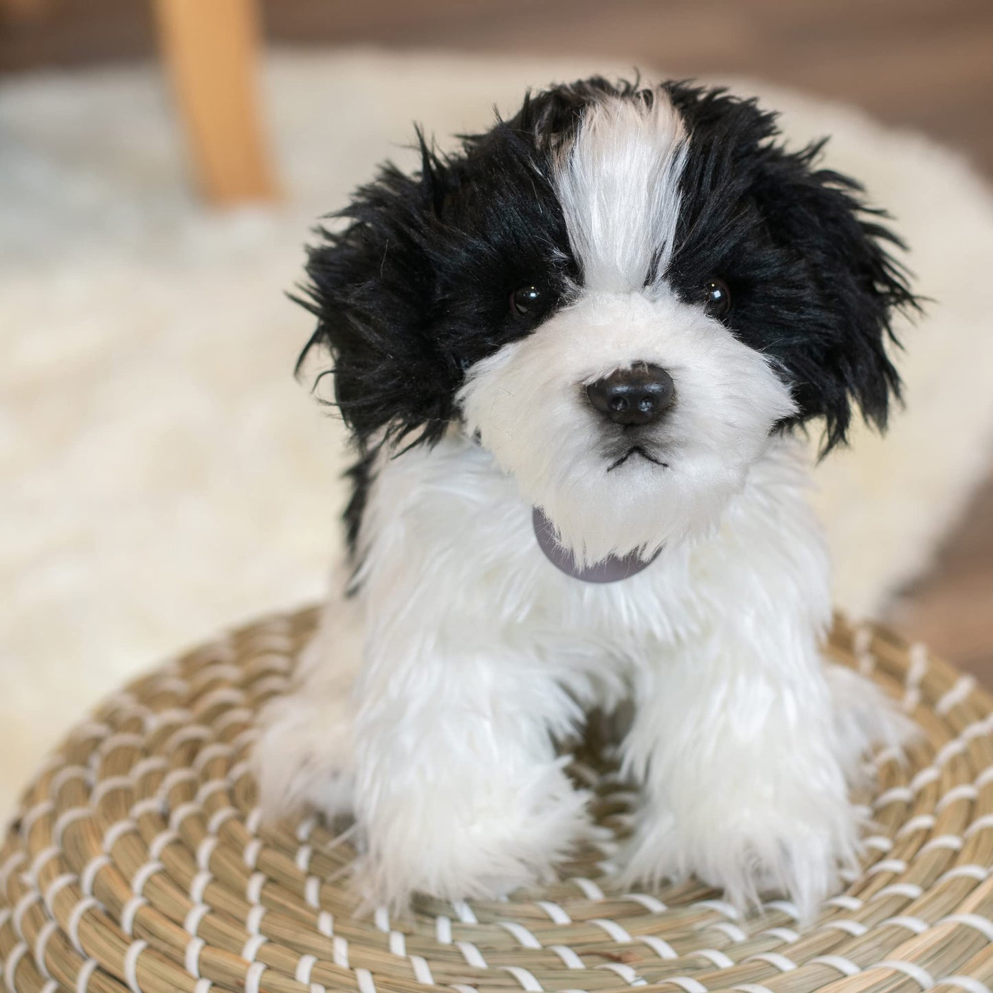 DEMDACO Sitting Small Havanese Dog Plush – Realistic AnimalCraft Collection