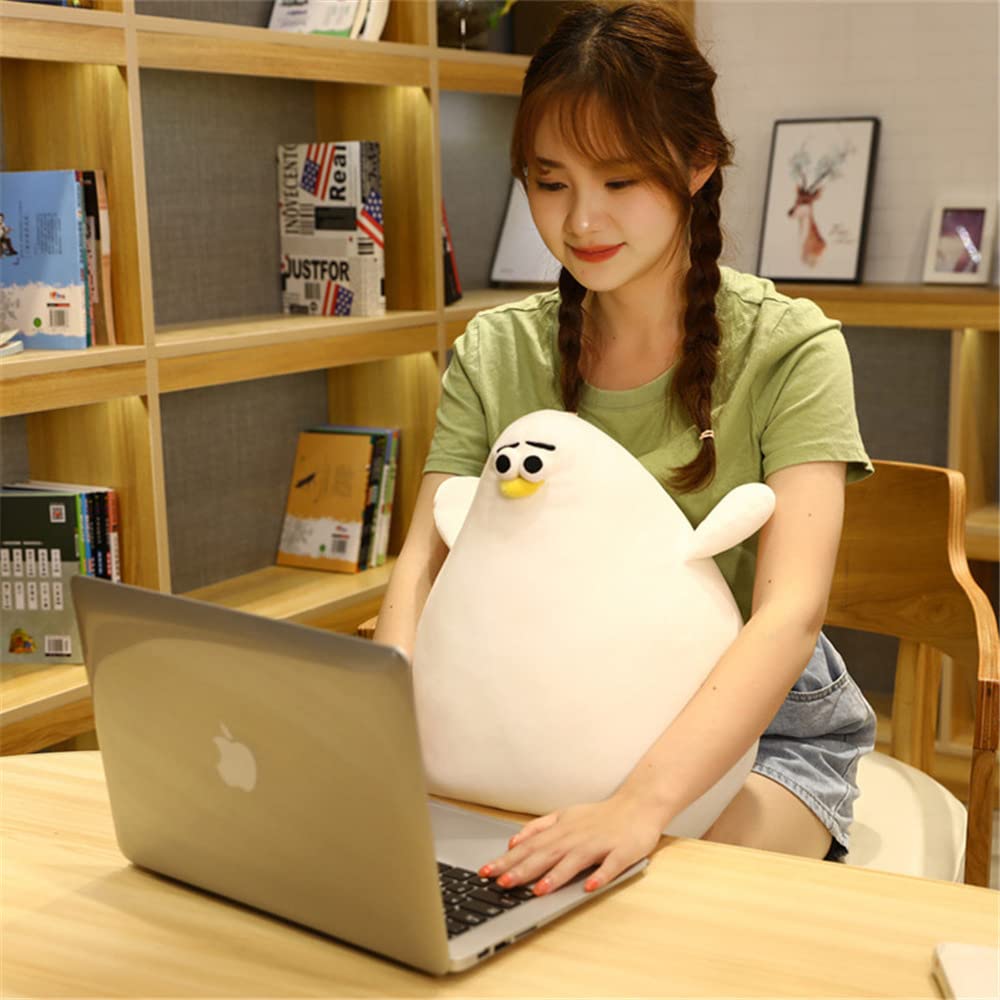 DEYI 26/40cm Simulation Mother Hen Doll – Plush Fat Chicken Toy & Pillow