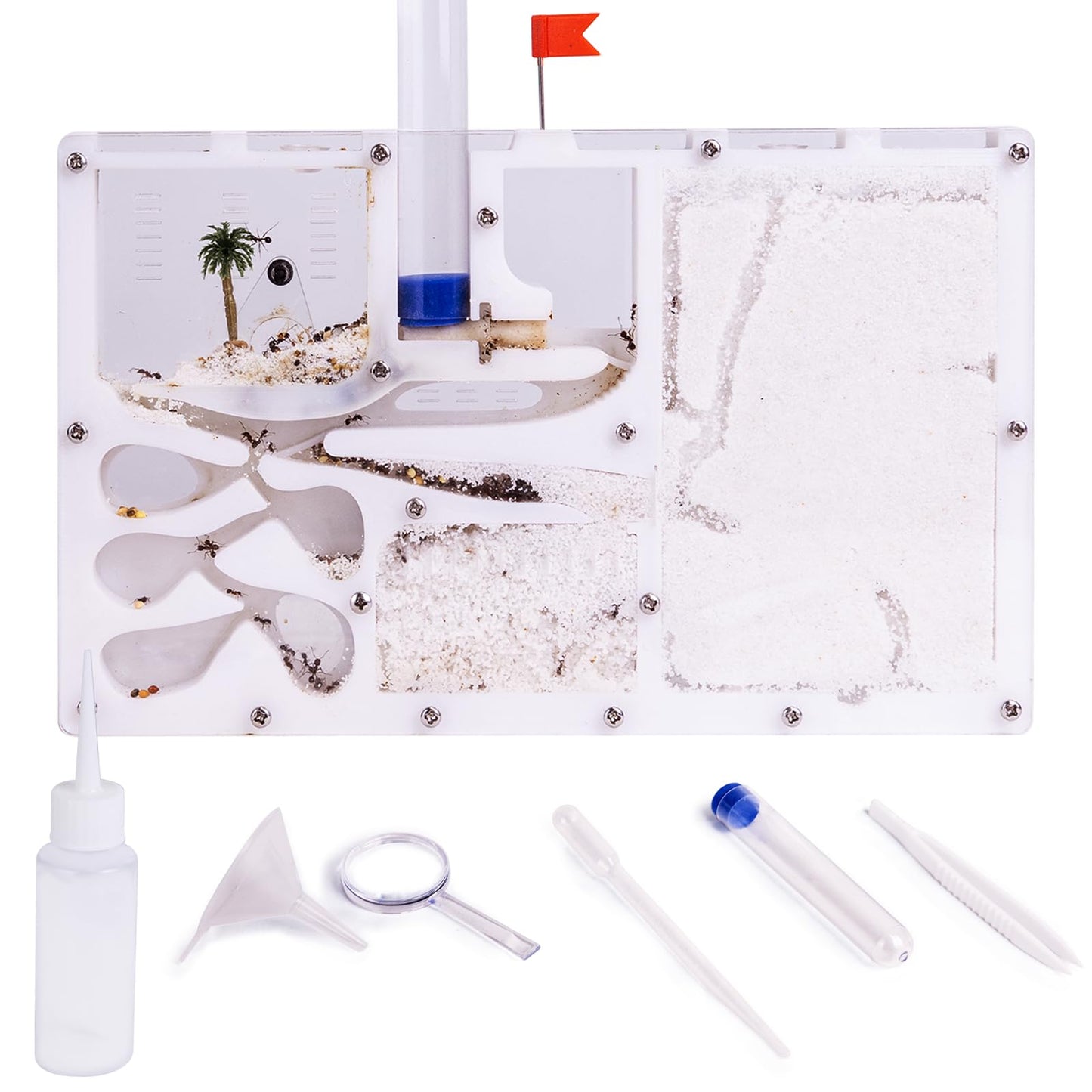 DigNew Ant Farming Castle – Home Habitat Science Kit (Live Ants Not Included)