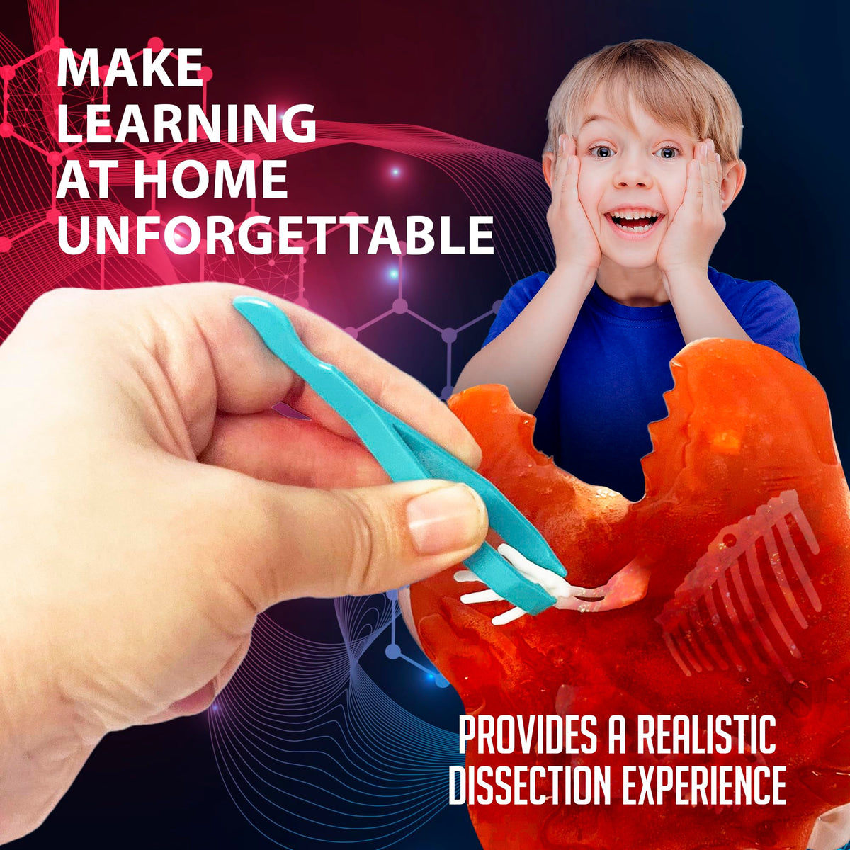 Dissect-It Discover-It Dinosaur Dig Kit – Safe, Mess-Free Dino Fossils for At-Home STEM (Ages 6+)