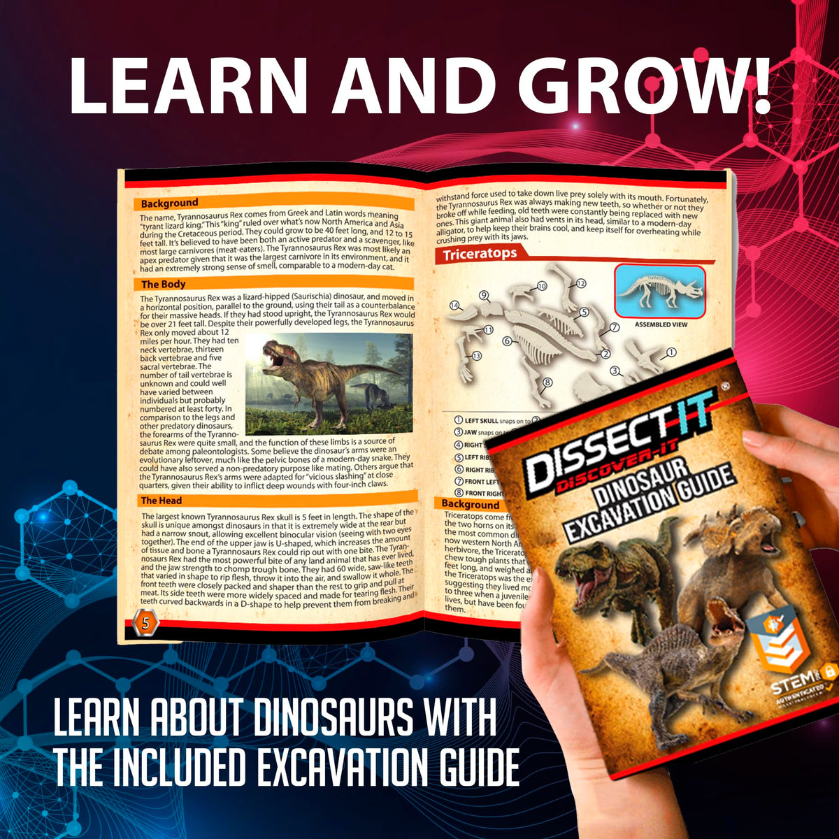 Dissect-It Discover-It Dinosaur Dig Kit – Safe, Mess-Free Dino Fossils for At-Home STEM (Ages 6+)