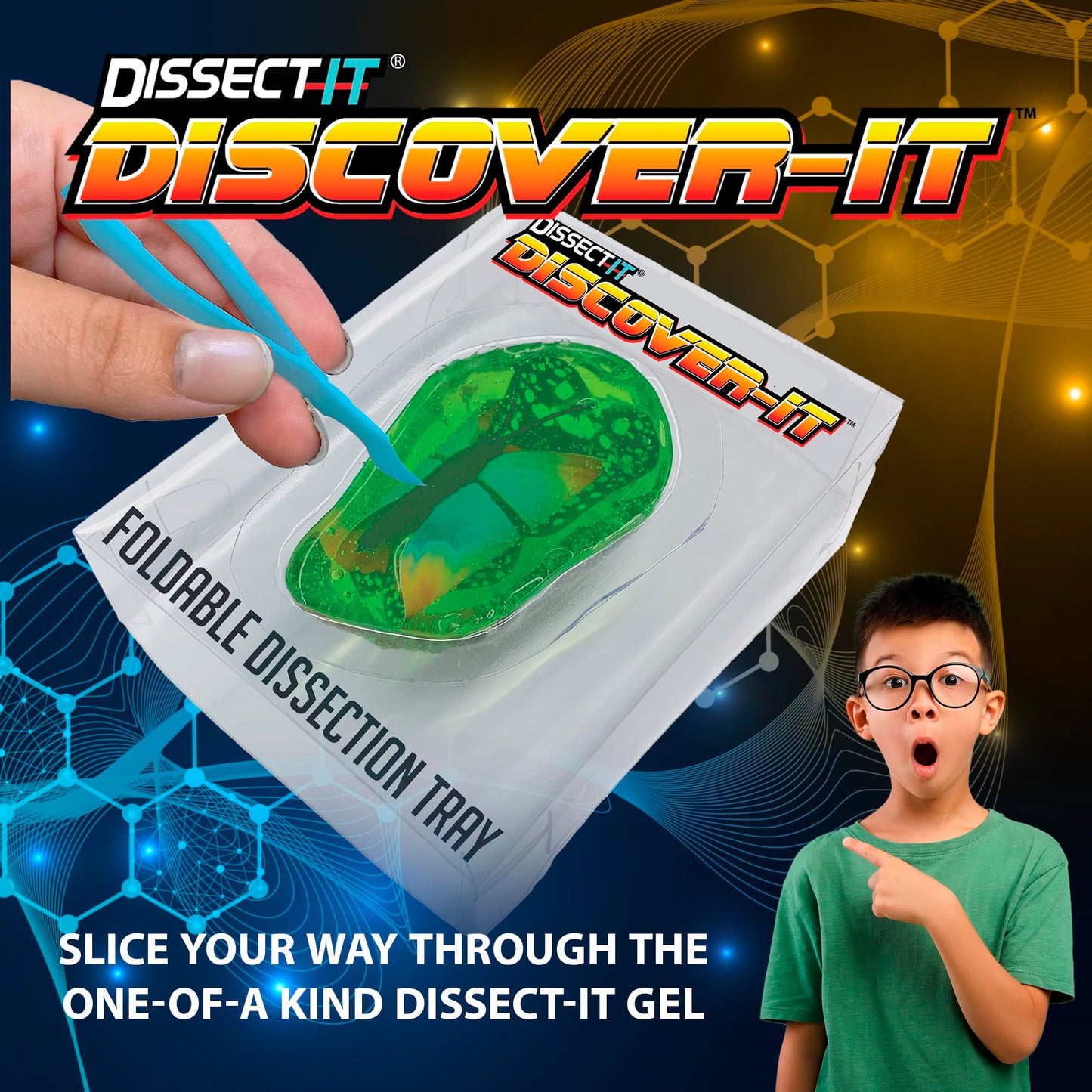 Dissect It Discover-It Butterfly Metamorphosis Kit for Kids | Synthetic Dissection Lab & STEM Toy (Ages 5+)