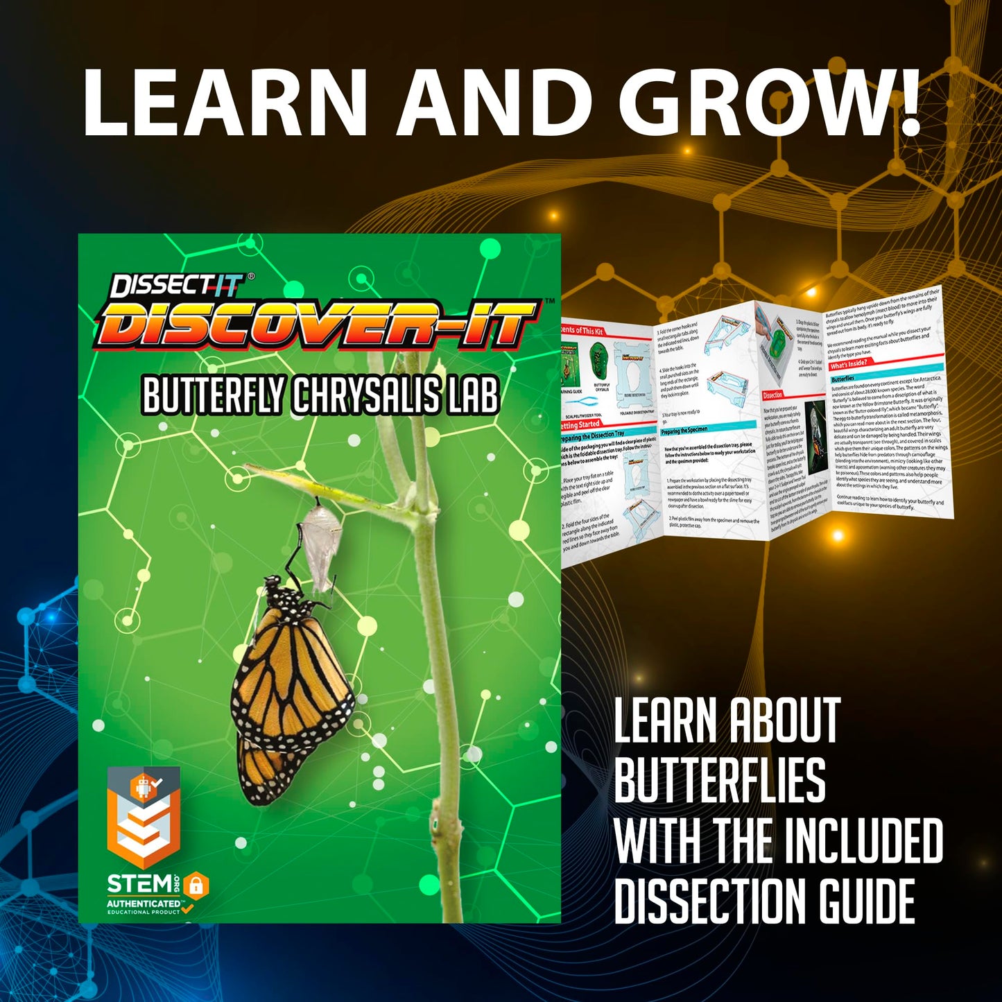Dissect It Discover-It Butterfly Metamorphosis Kit for Kids | Synthetic Dissection Lab & STEM Toy (Ages 5+)