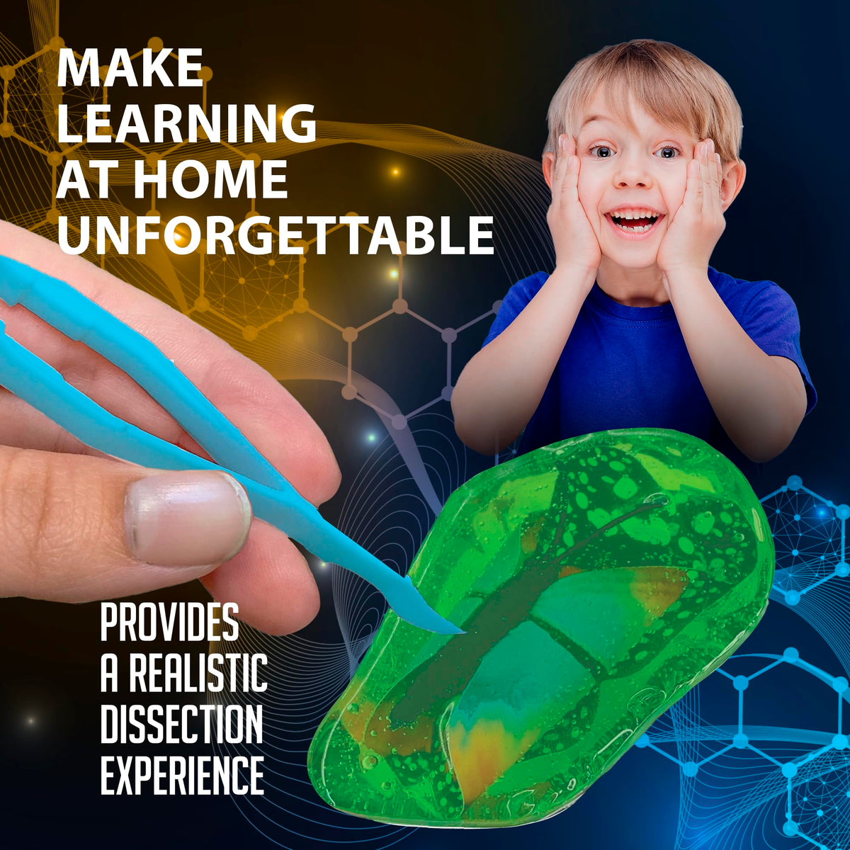Dissect It Discover-It Butterfly Metamorphosis Kit for Kids | Synthetic Dissection Lab & STEM Toy (Ages 5+)